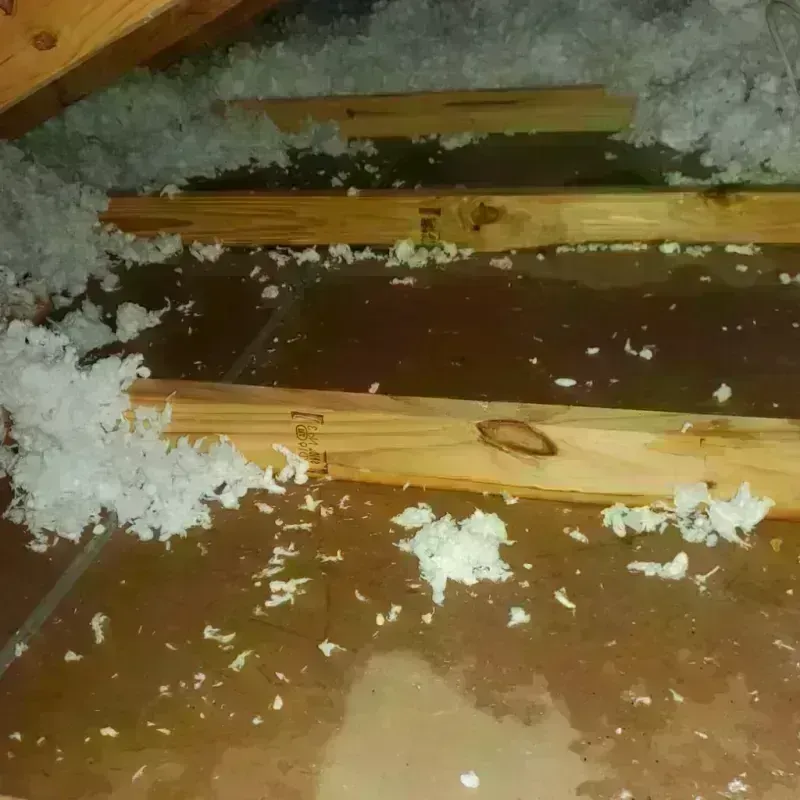 Attic Water Damage in Wagoner, OK