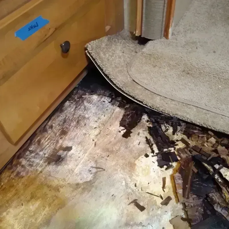 Wood Floor Water Damage in Wagoner, OK